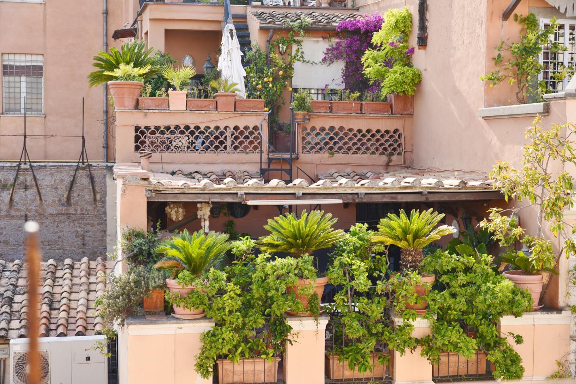 Apartment Timpano's Magic View *